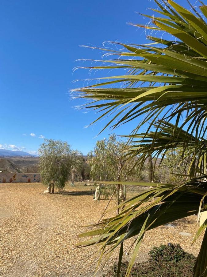 Oasis Montana peace in Tabernas Desert Bagian luar foto